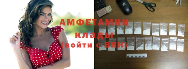 шишки Баксан