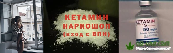 крисы Балахна