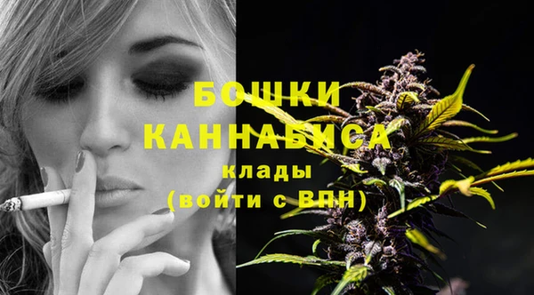 шишки Баксан