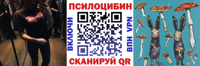 Купить закладки  Фокино  Галлюциногенные грибы Psilocybe 